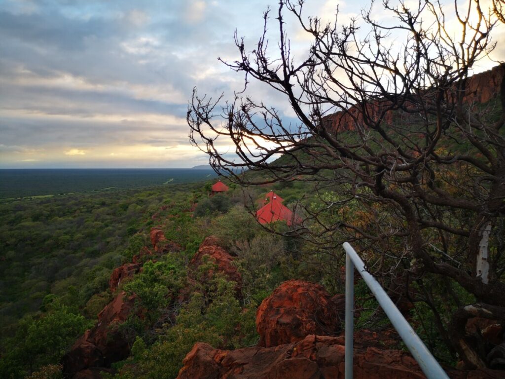 Natuur rondom Waterberg Plateau National Park