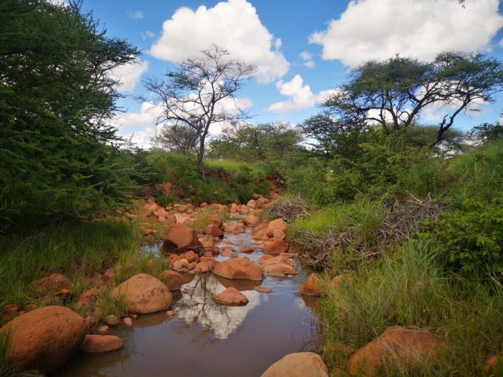 Historische wandelingen op de Waterberg Plateau National Park