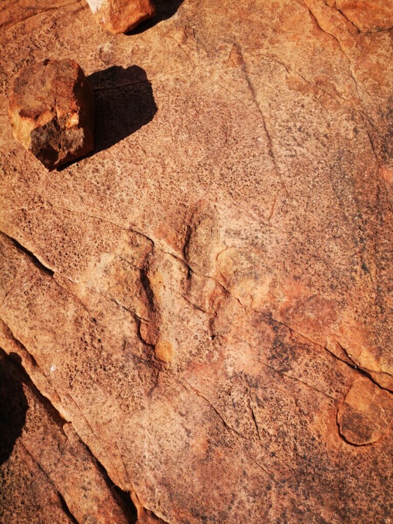 Dinosaur footprint at Mt Etjo
