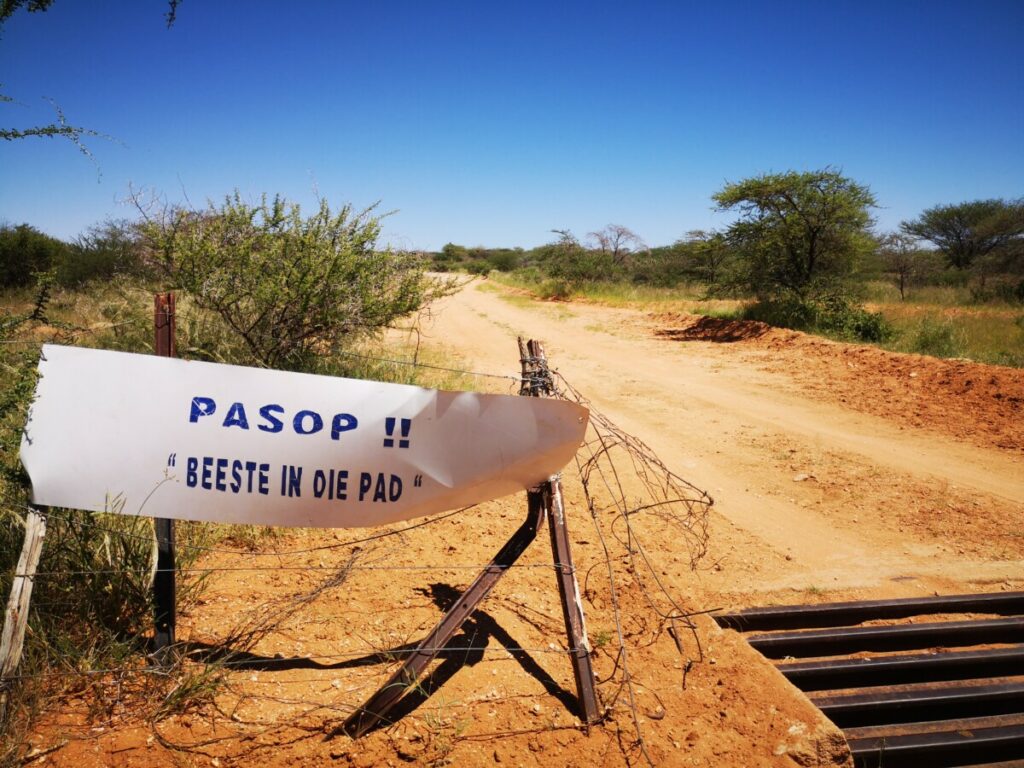Onderweg naar Vingerklip - Namibie