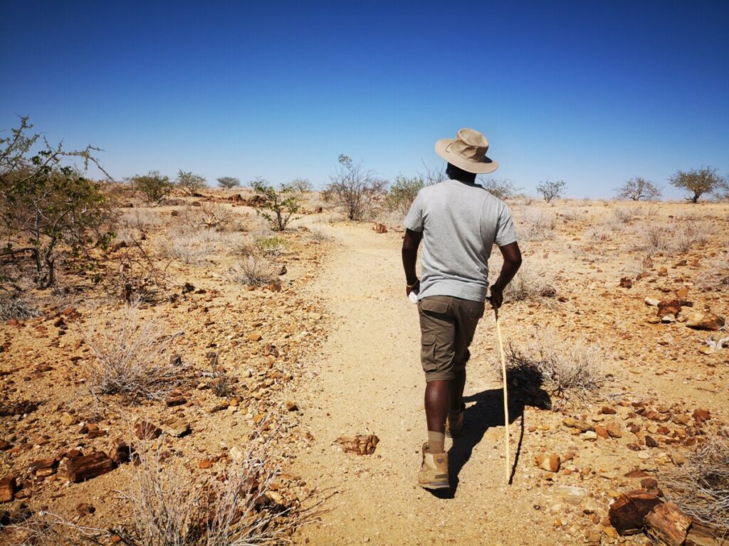 Petrified Forest/ Versteend bos - Bezoek Damaraland