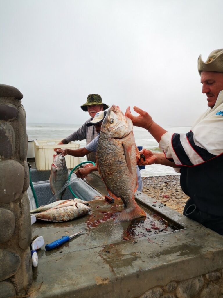 Terrace Bay - Skeleton Coast NP - Namibia