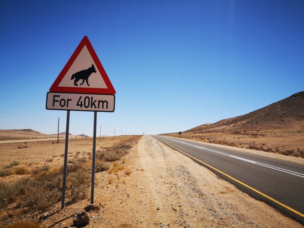 Van Aus naar Luderitz - Wilde Paarden