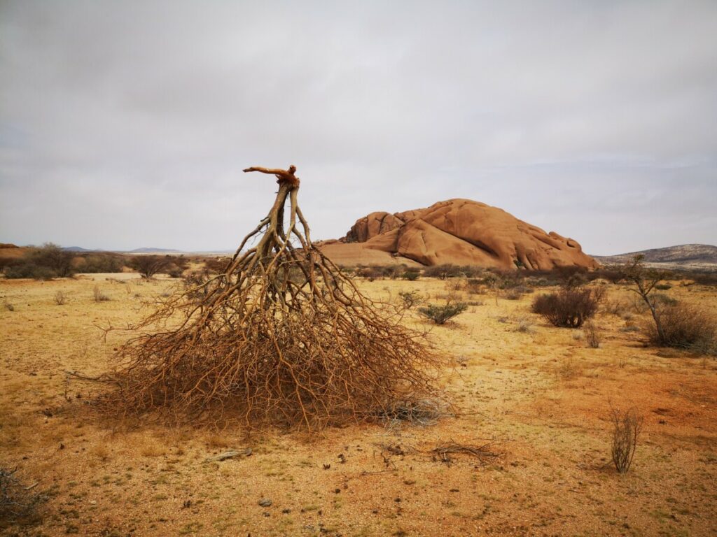 Yoga in nature - Spitzkoppe