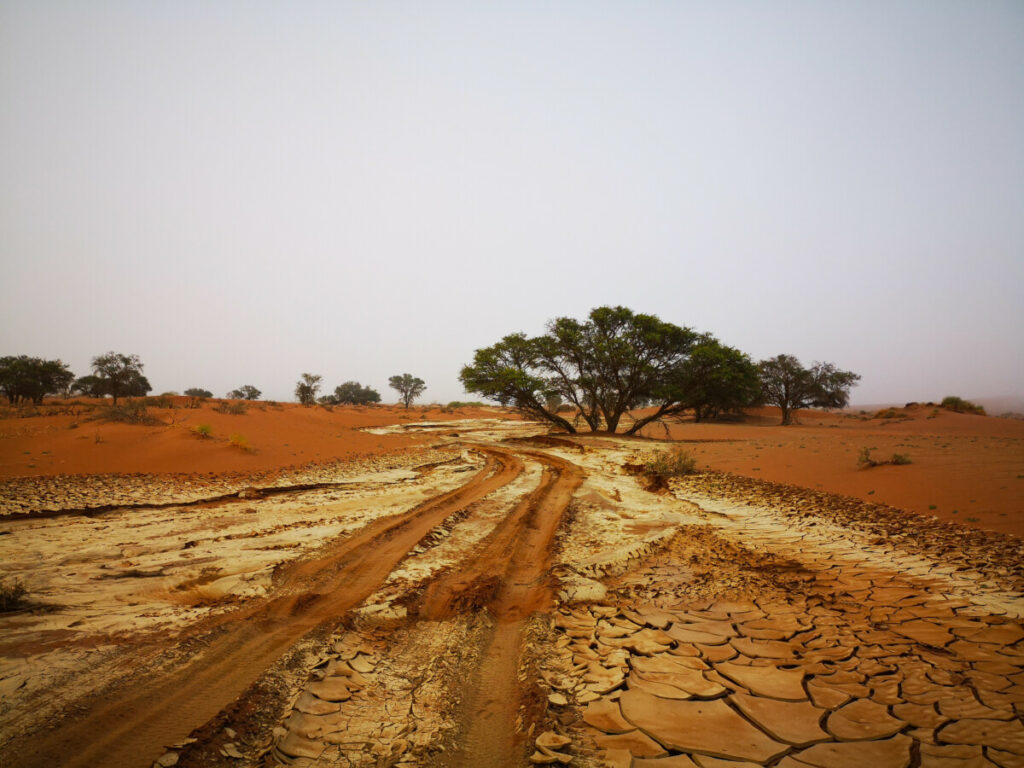 De regen heeft er flinke schade aangericht - Deadvlei - Sossusvlei