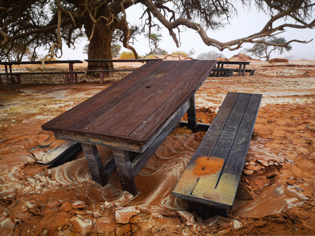 De regen heeft er flinke schade aangericht - Deadvlei - Sossusvlei