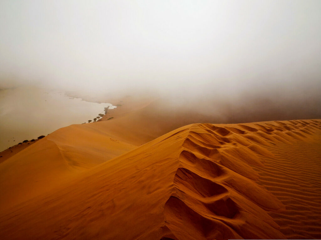 Deadvlei Namibië - Meest iconische plekje van Namibië