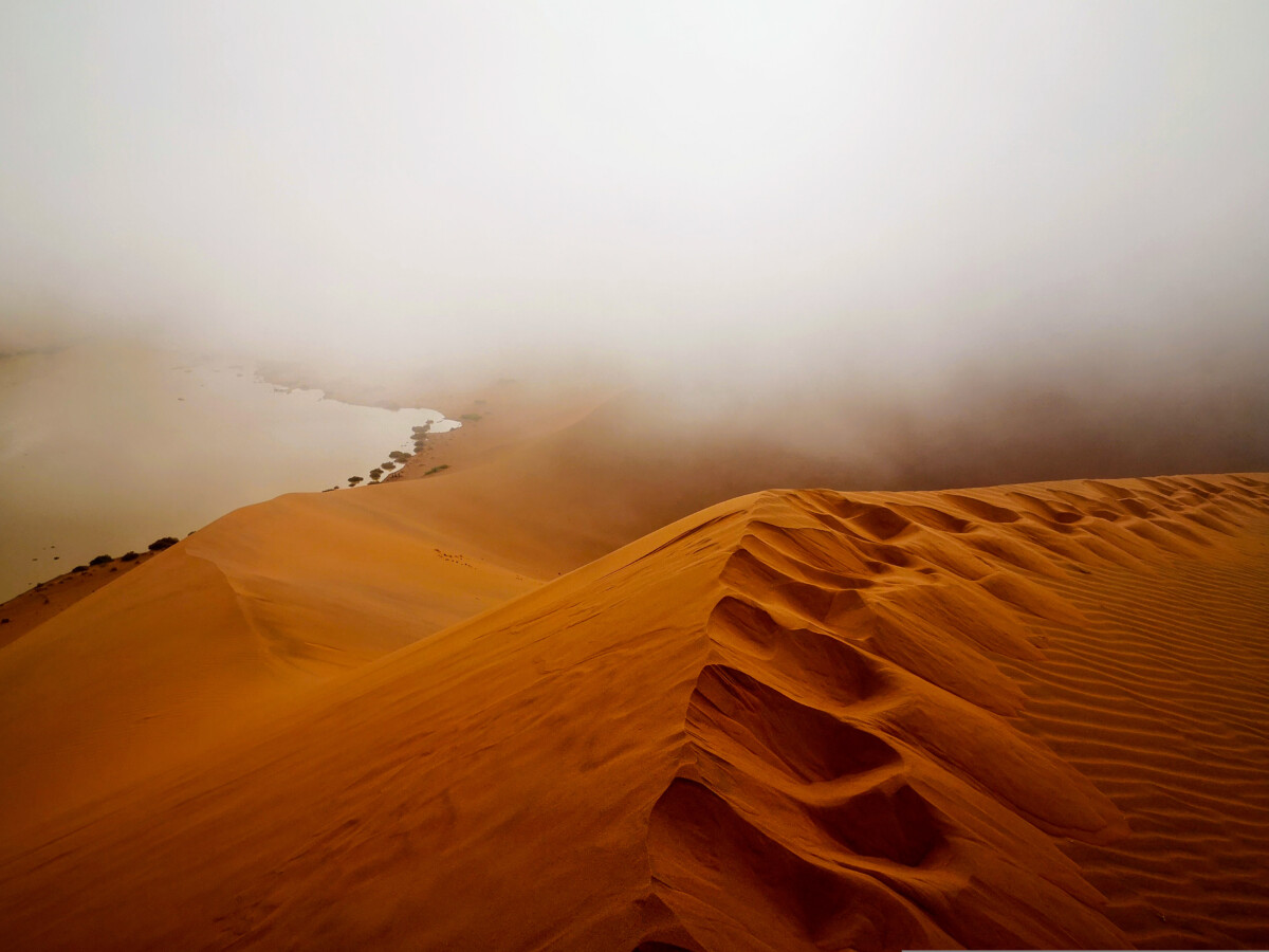 Deadvlei Namibië - Meest iconische plekje van Namibië