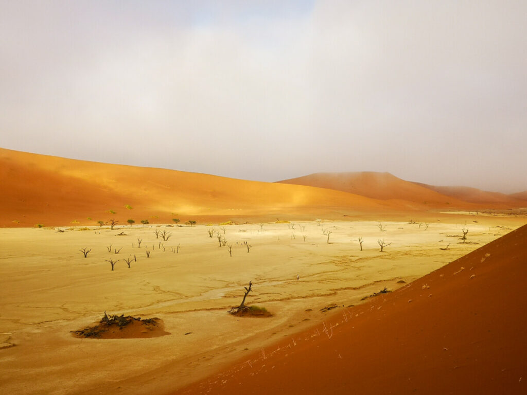 Deadvlei vanaf de duin gezien