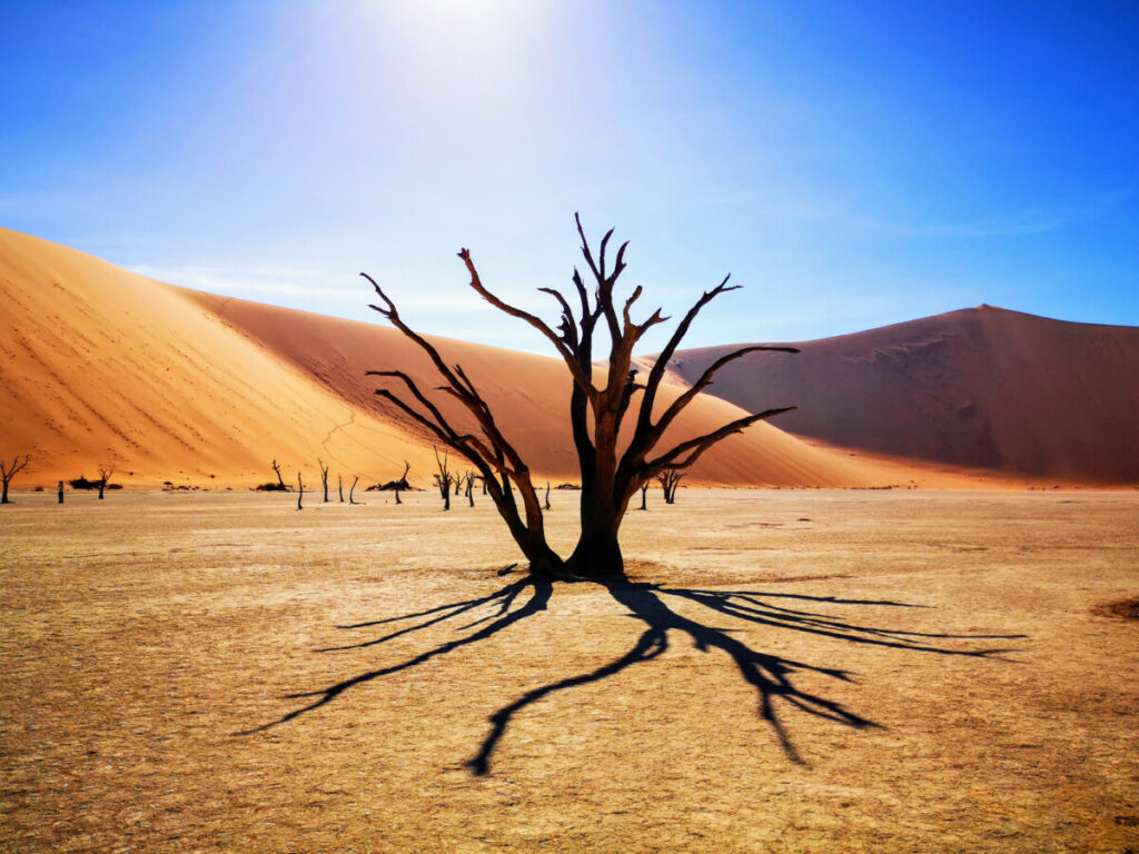 Deadvlei Namibia - Most iconic spot of Namibia