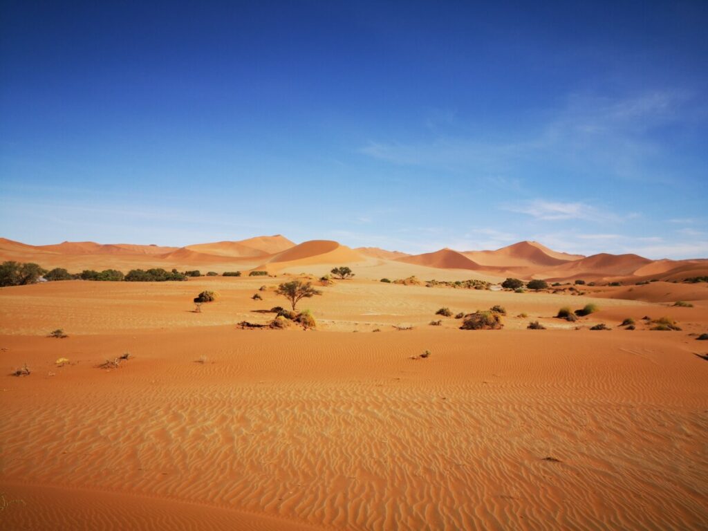 In the Middle of Nowhere - Deadvlei