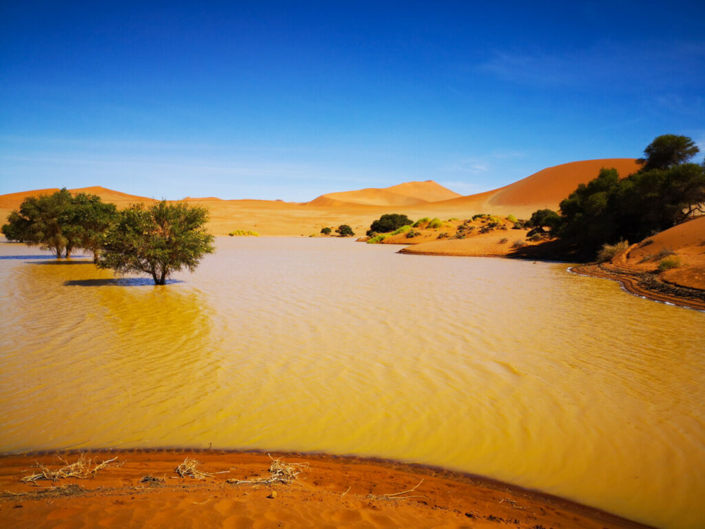 I saw several lakes in Deadvlei and Sossusvlei