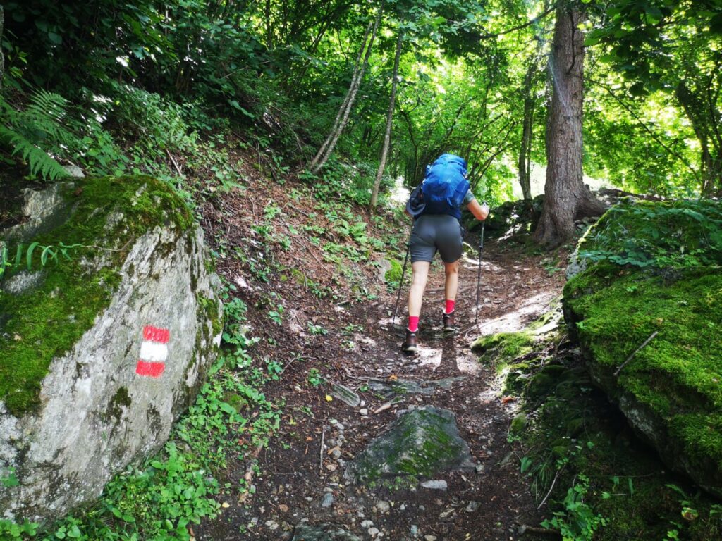 Stage 3 on the Alpe Adria Trail