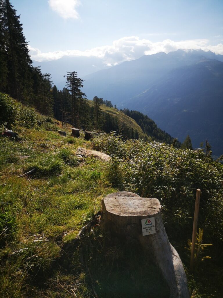Etappe 4 Alpe Adria Trail in Vogelvlucht