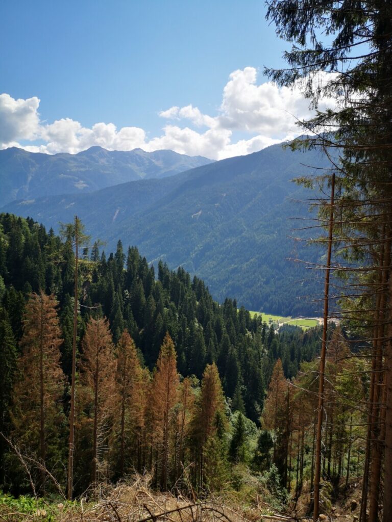 Etappe 4 Alpe Adria Trail in Vogelvlucht