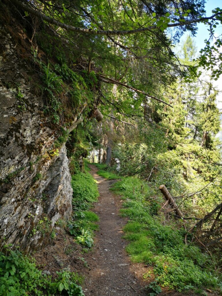 Rollbahn Wanderweg - GrossFragant