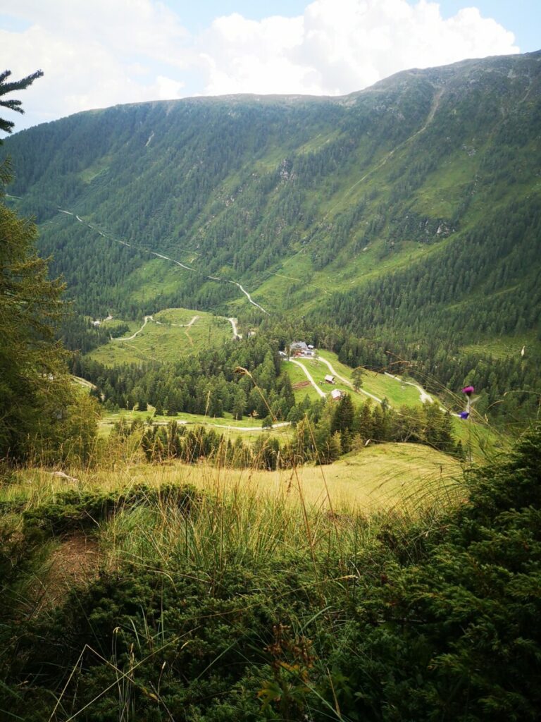 If you also get this view on the Alpe Adria Trail you're off the trail