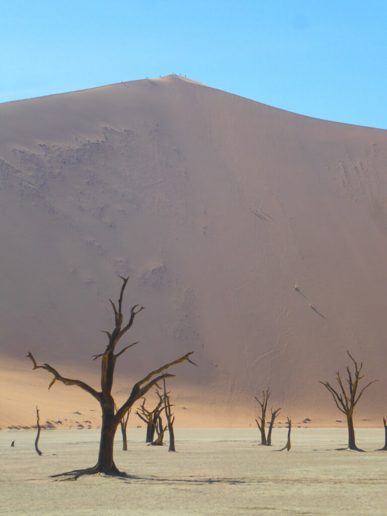 Big Daddy, the highest dune of Deadvlei - Namibia