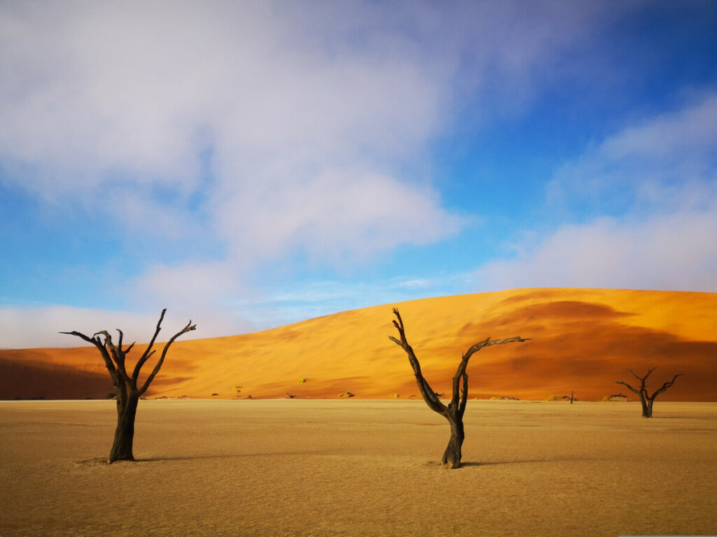 Deadvlei Namibië - Meest iconische plekje van Namibië