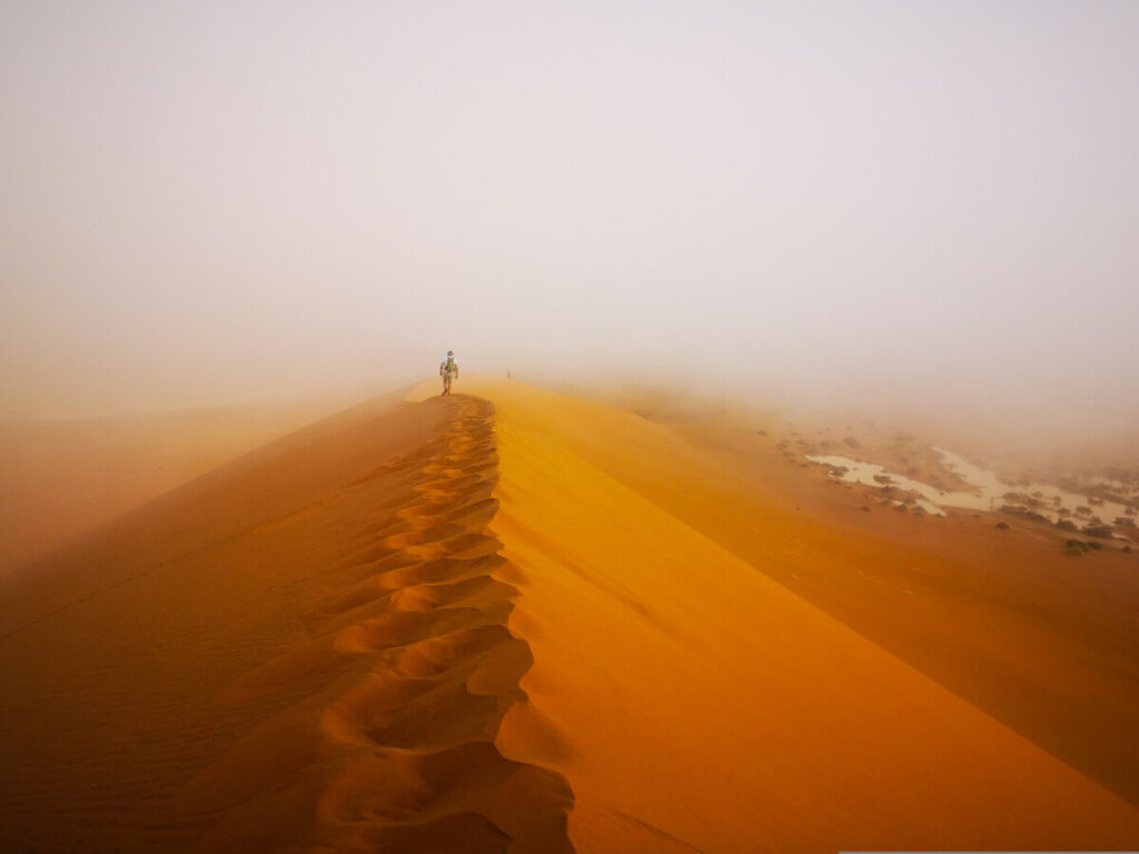 Deadvlei Namibië - Meest iconische plekje van Namibië