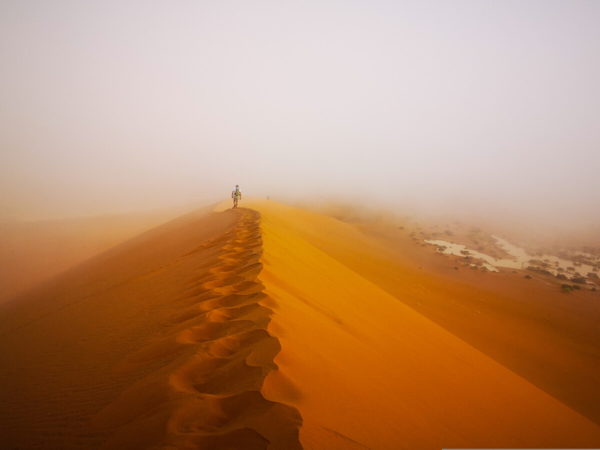 Deadvlei Namibië - Meest iconische plekje van Namibië Deadvlei Namibië - Meest iconische plekje van Namibië