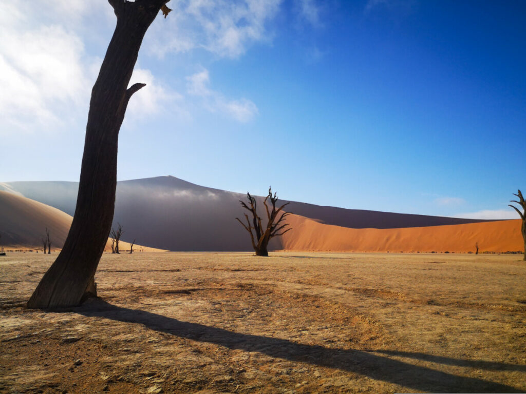 Deadvlei Namibia - Most iconic spot of Namibia