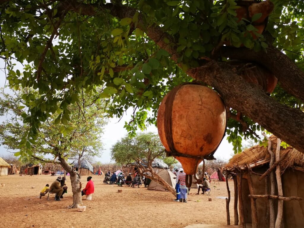 Kruiken hangen her en der in de boom - Himba dorp