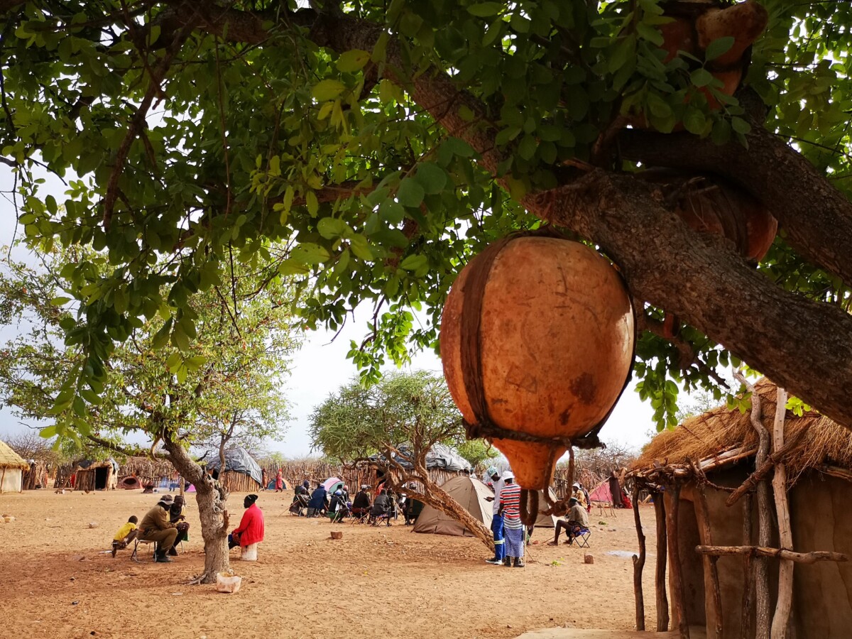 Kruiken hangen her en der in de boom - Himba dorp