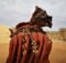 Het kapsel van een Himba vrouw is indrukwekkend - Opuwo, Namibië