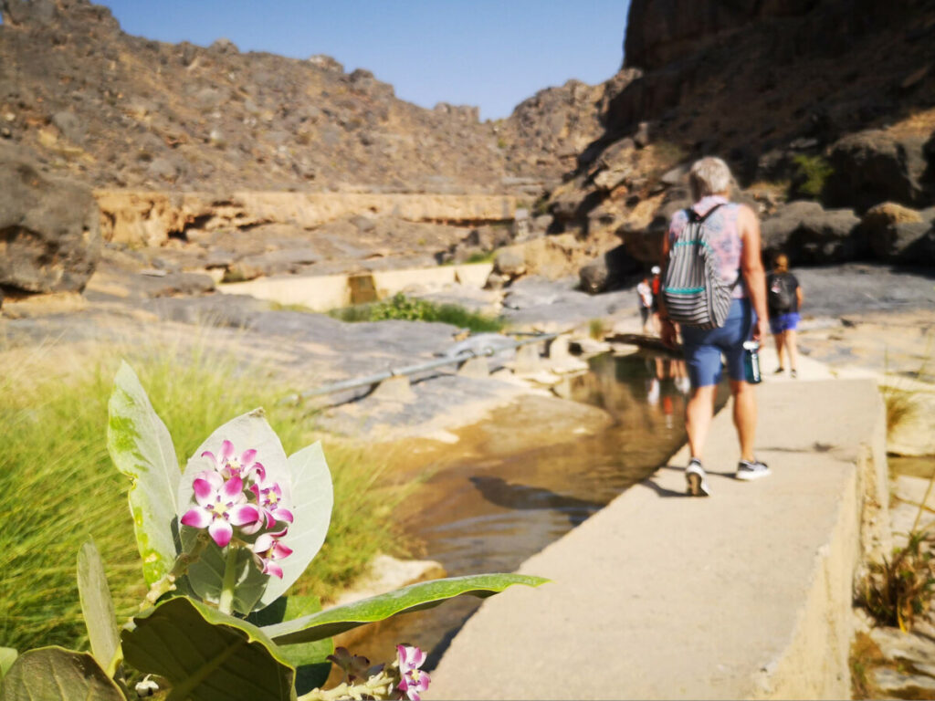 Hiking and relaxing in Wadi Dam - Oman