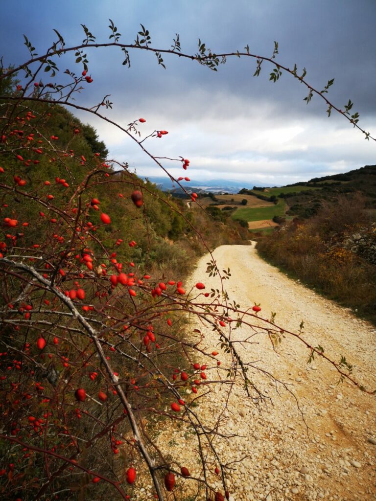 Great views - Camino Frances