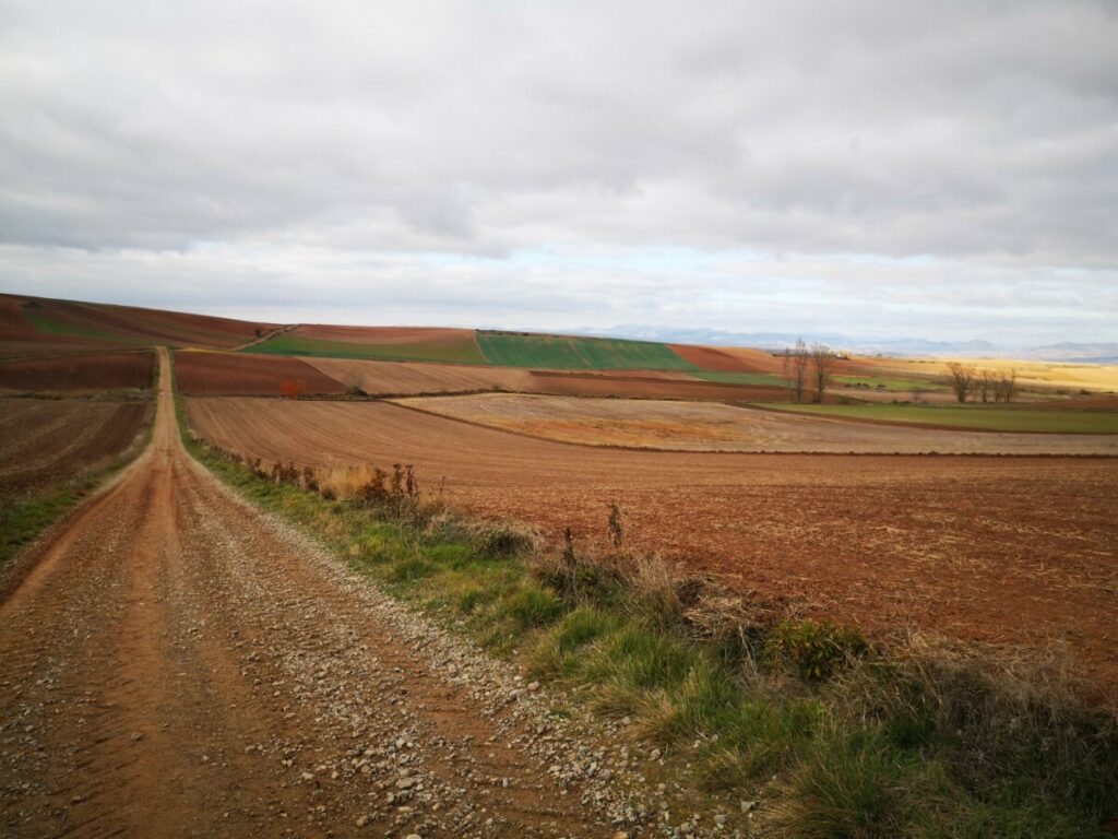 Doing a 8 days pilgrimage? Read about my hike from Pamplona to Burgos - 217 km - Spain