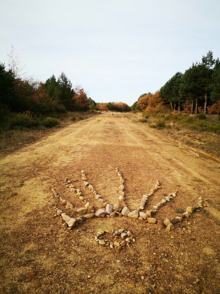 Doing a 8 days pilgrimage? Read about my hike from Pamplona to Burgos - 217 km - Spain