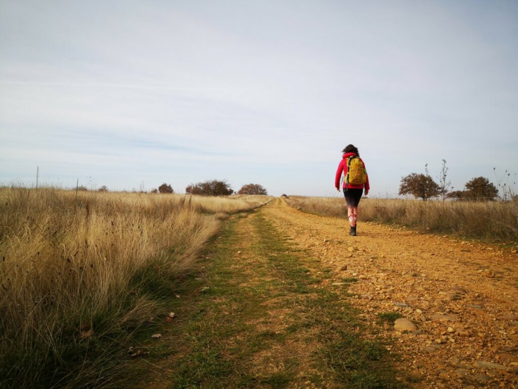 Wandelen op de Camino Frances