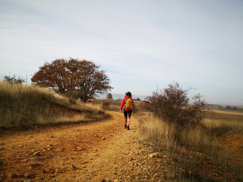 Hiking on the Camino Frances