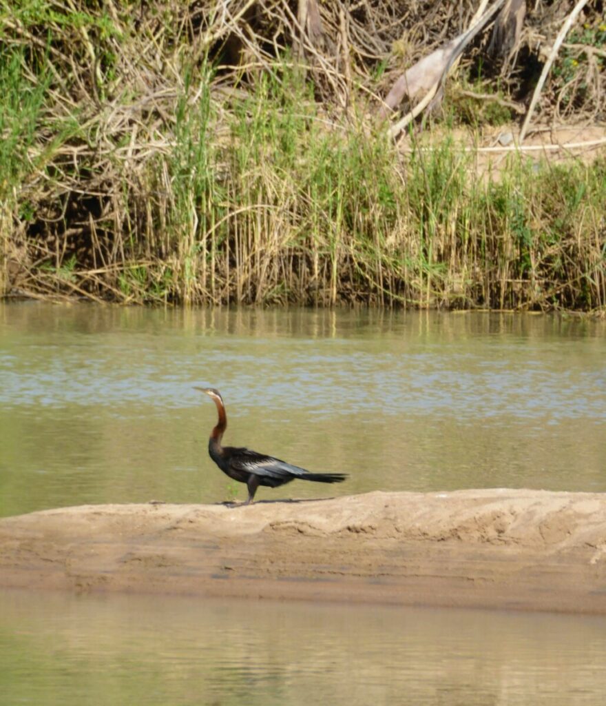 Kajakken bij Kunene River Lodge - Ruacana