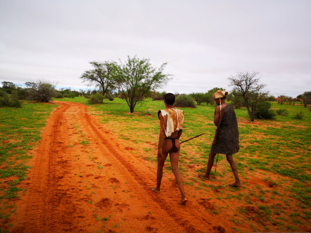 Ervaar de Kalahari samen met de San - Namibië en Botswana