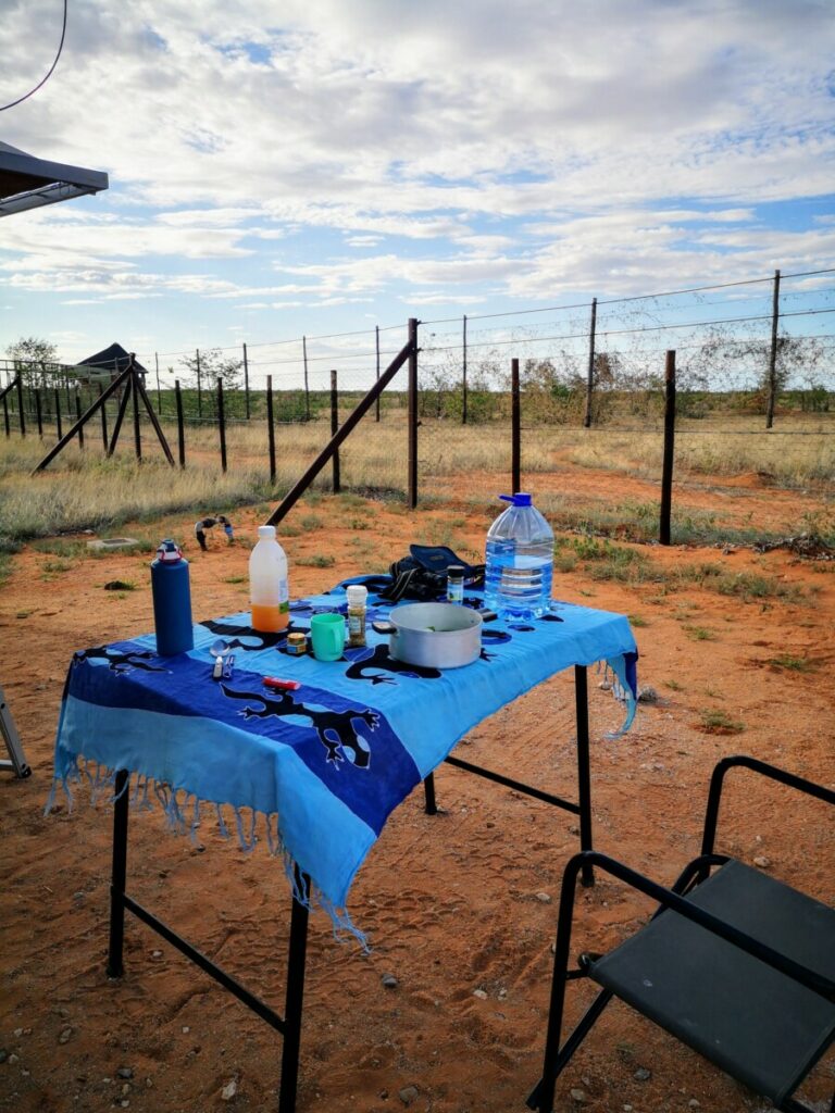 Mijn plekje achter het hek bij Olifantsrus - Etosha