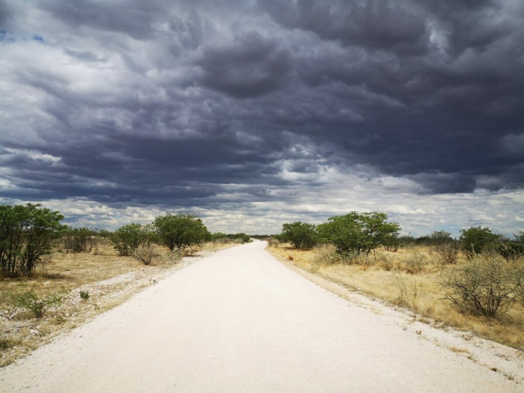 Dreigende wolken tijdens mijn safari in Etosha NP - Namibie