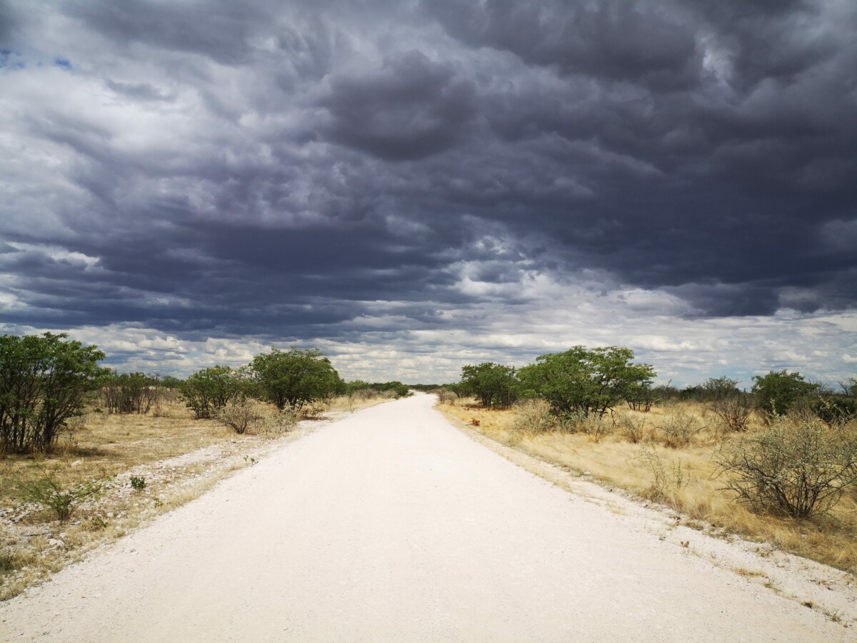 Dreigende wolken tijdens mijn safari in Etosha NP - Namibie Dreigende wolken tijdens mijn safari in Etosha NP - Namibie