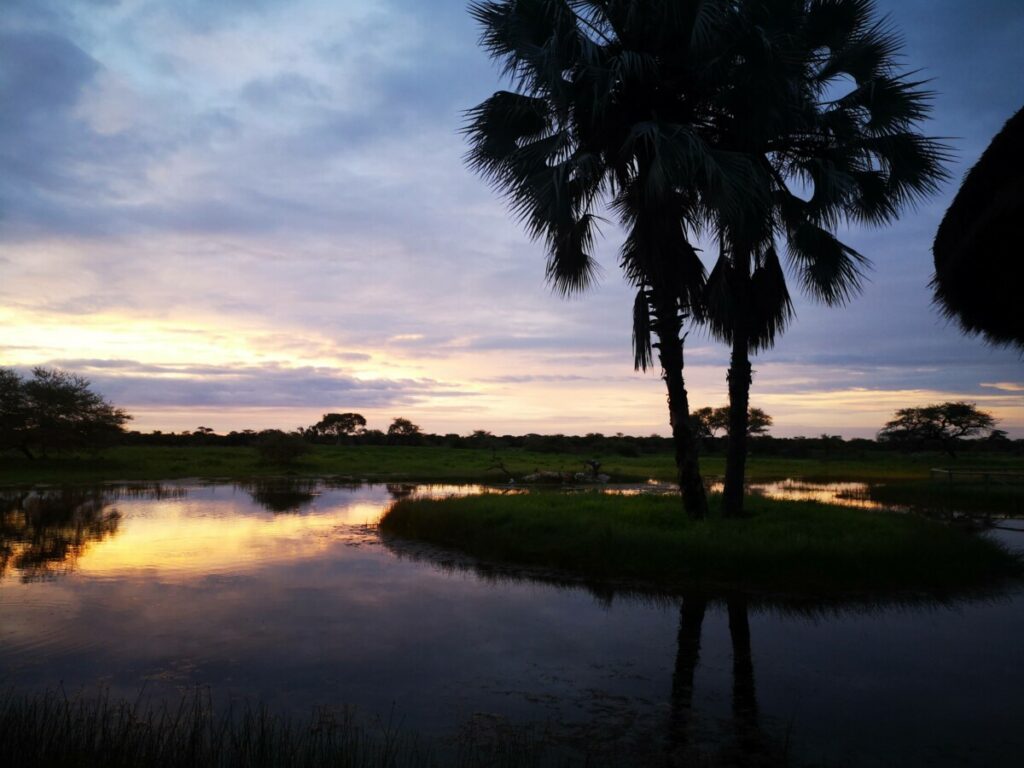 Onguma Bush Camp - Uitzicht vanuit het restaurant over de waterplaats.