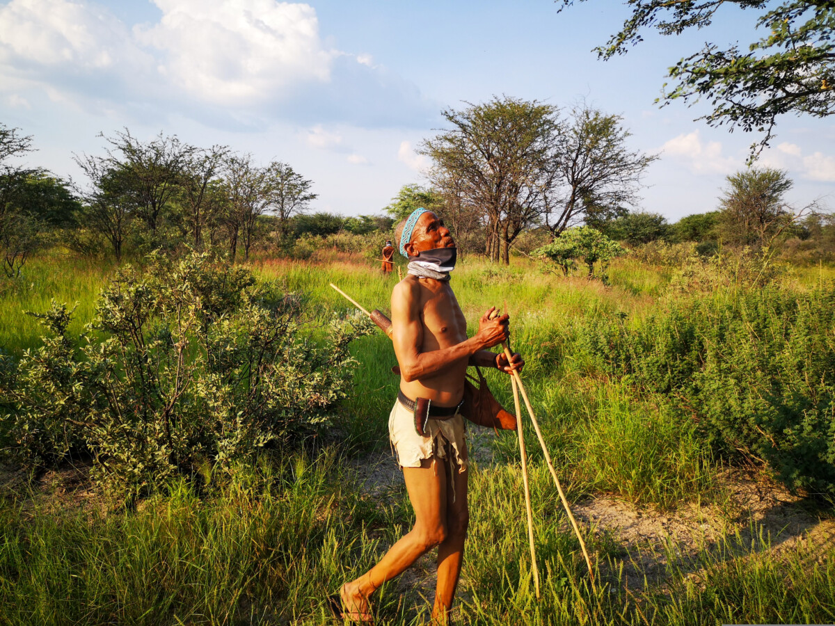 Ervaar de Kalahari samen met de San - Namibië en Botswana