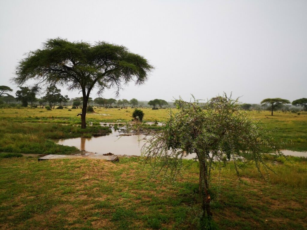 Uitzicht op de waterplaats bij Senyati - Botswana