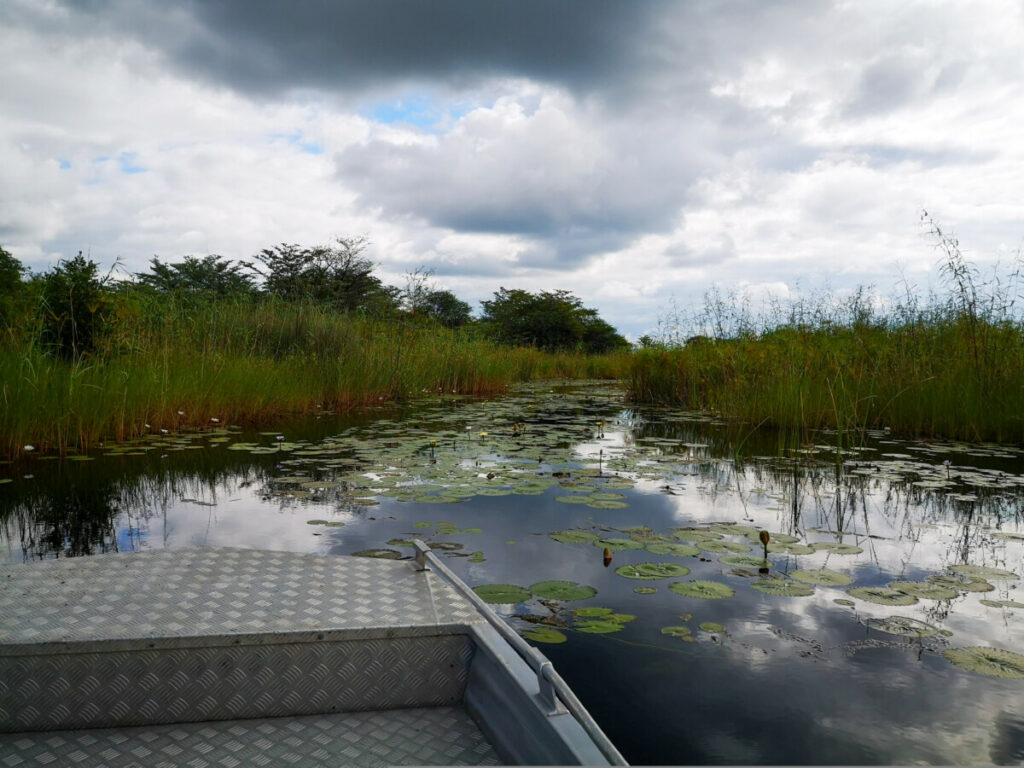 Wat te doen in Divundu - Boottocht op de Rivier Kwando