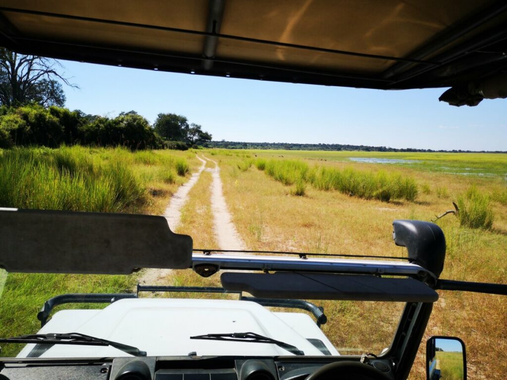 Safari at Mahango NP - Namibia