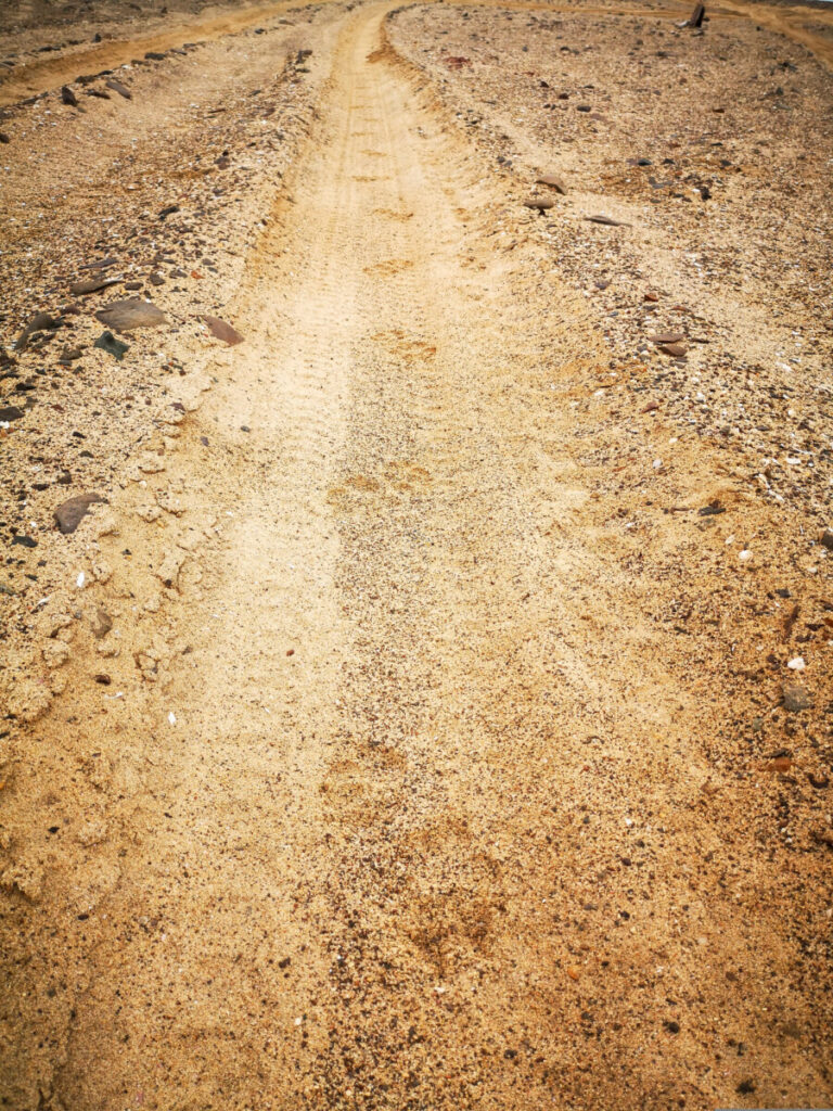 Lion paw prints near the Skeleton Coast - Namibia