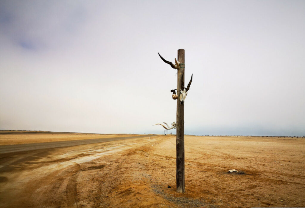 Roestige scheepswrakken aan de Skeleton Coast - Namibië