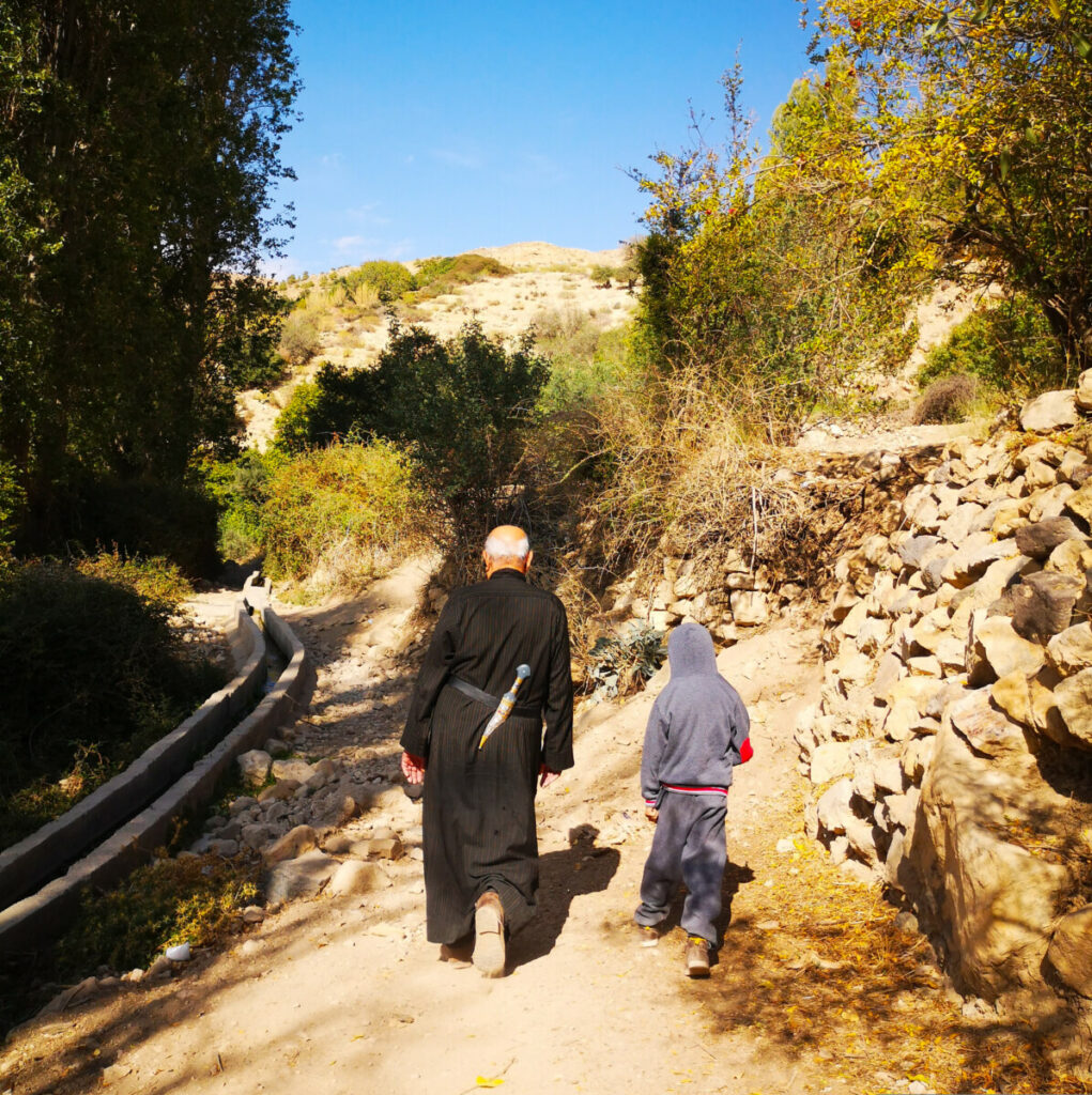 Go Hiking in Dana Biosphere Reserve - Get the Best Views in Dana, Jordan