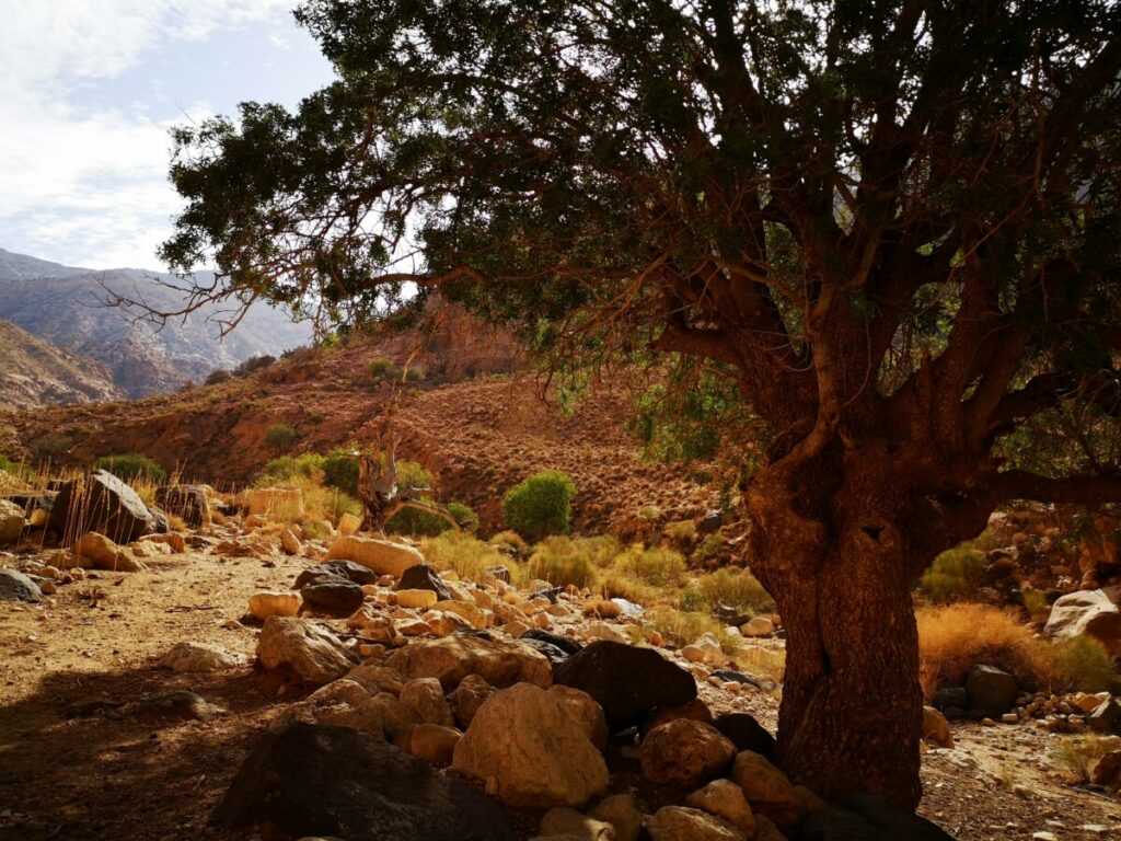 Wandelen in Dana Bioshpere Reserve - Jordanië