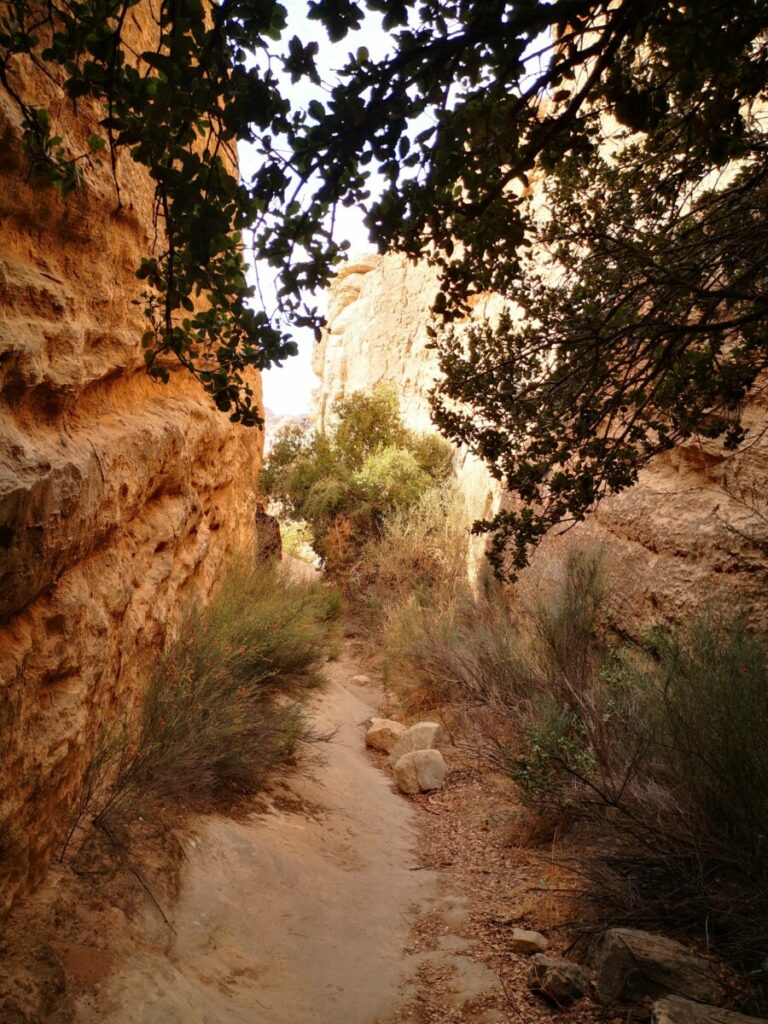 Shaq Al Reesh Trail - Dana, Jordan